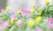 发朋友圈的早安心语正能量语录