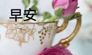 朋友圈清晨日常祝福语录大全，早上好日常祝福语短信精选