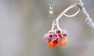 2021年浓情腊八节气简短暖心早安祝福语优美句子