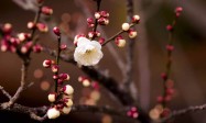 情人节祝福语大全2021年