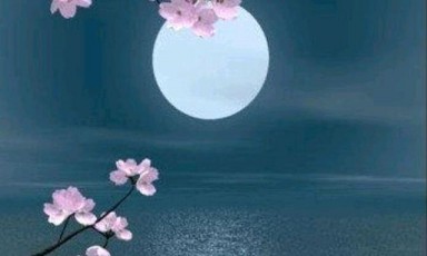 中秋祝福语，安排！送家人送朋友送爱人送同事，都码好了请自提！